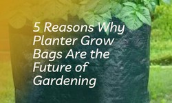 5 Reasons Why Planter Grow Bags Are the Future of Gardening