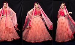 Pakistani Wedding Dresses: All you need to Know