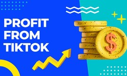 profit from tiktok