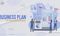 How to create an Effective Business Plan for Private Limited Company