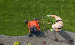 Breathe New Life into Your Lawn: The Importance of Lawn Aeration in Bellingham, Washington