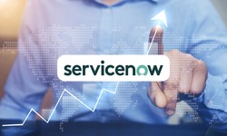 What are the Advantages and DisAdvantages of ServiceNow?