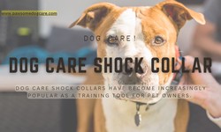 Dog Care Collar Instructions