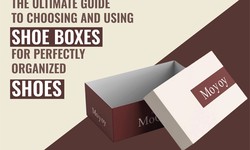 The Ultimate Guide to Choosing and Using Shoe Boxes for Perfectly Organised Shoes