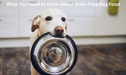 What You Need to Know About Grain-Free Dog Food
