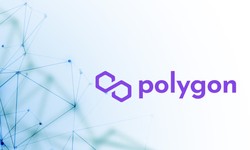 An introduction to Polygon node setup