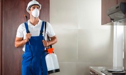 Get peace of mind by hiring professionals for pest control in Windsor