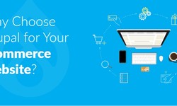 Why Drupal Development Is Best For eCommerce Solutions?