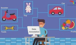Importance of data annotation services for AI and machine learning applications