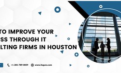 Enhance Your Business Today: Ways to Improve Your Business Through IT Consulting Firms in Houston