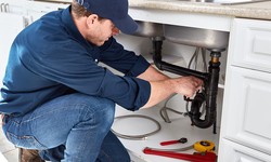 How can professional and expert plumbers protect your home from water damage?