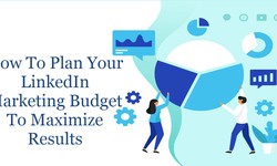 How To Plan Your LinkedIn Marketing Budget To Maximize Results