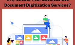 Why Should Your Business Use Document Digitization Services?