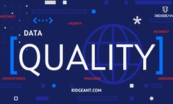 Data Quality Issues in Data Science – What are They and How to Avoid Them?