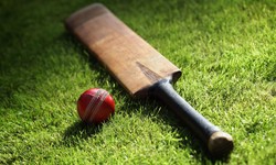 From the Pitch to the Blockchain: Exploring the World of Cricket NFT Games
