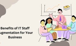 Benefits of IT Staff Augmentation for Your Business