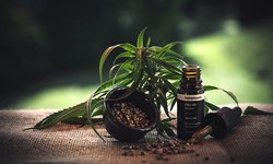 How to Successfully Market a CBD Business