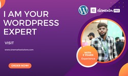 5 Reasons Why Hafiz Ali is the Right Choice for Your WordPress Needs on Fiverr