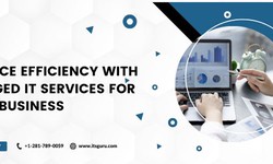 Enhance Efficiency with Managed IT Services for Small Business