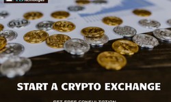 Why should you Start a Cryptocurrency Exchange?