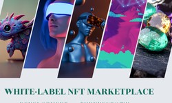 Overview and Benefits of White label NFT Marketplace Development