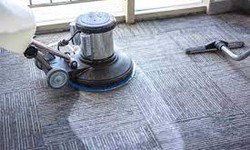 Healthy Homes Start with Clean Carpets: The Importance of Carpet Cleaning