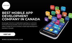 How Do Choose The Best Platform Mobile App Development Company?
