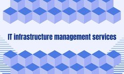 IT infrastructure management services