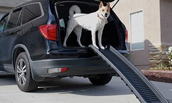 How Folding Pet Ramps Can Make Walking Fido Easier And Safer