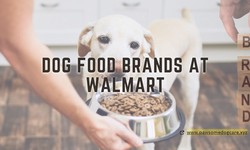 Dog Food Brands