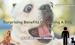 5 Surprising Benefits Of Owning A Dog
