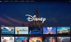 How can the eight-digit Disney Plus login code be entered and activated?