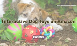 Interactive Dog Toys Amazon – Keep Your Pup Happy And Active