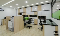 What Are Some Eco-Friendly Options for Office Renovation Materials and Designs?