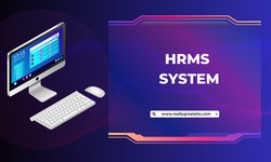 Why It’s Important for Businesses to Implement HRMS Software ?