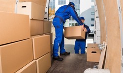 What Are Professional mover and  Packers?