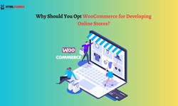 Why Should You Opt WooCommerce for Developing Online Stores?