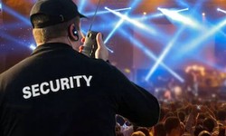 From Planning to Execution: Comprehensive Discussion on Event Security Services Paradigms