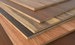 Revolutionizing the Plywood Buying Experience: CenturyEshop's Story