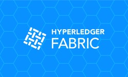 Hyperledger Fabric Node and its impact on the future of blockchain technology
