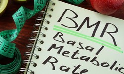 BMR Calculator: What is the Good BMR value for Men and Women?