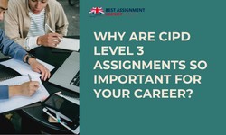 Why are CIPD Level 3 Assignments so Important for Your Career?