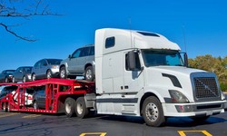 The Role of Car Transporters in Vehicle Shipping: Everything You Need to Know