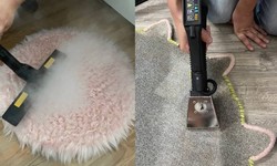 The Best Advice for Picking a Carpet Cleaning Company