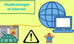 What is WWW advantages and disadvantages?