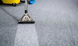Why Regular Carpet Cleaning is a Must for Maintaining Healthy Indoor Air Quality?