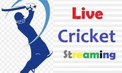 The One-Stop Destination for Live Cricket Streaming