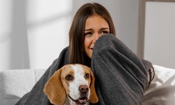5 Benefits of Having an Emotional Support Animal Letter for Housing