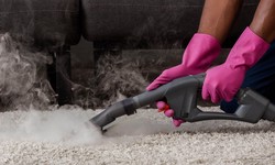 6 Carpet Steam Cleaning Melbourne Tips from Professionals
