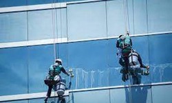 Delegating Maintenance Tasks with Window cleaners London